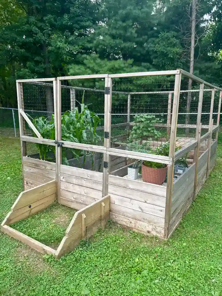 CBCA Community Garden raised beds