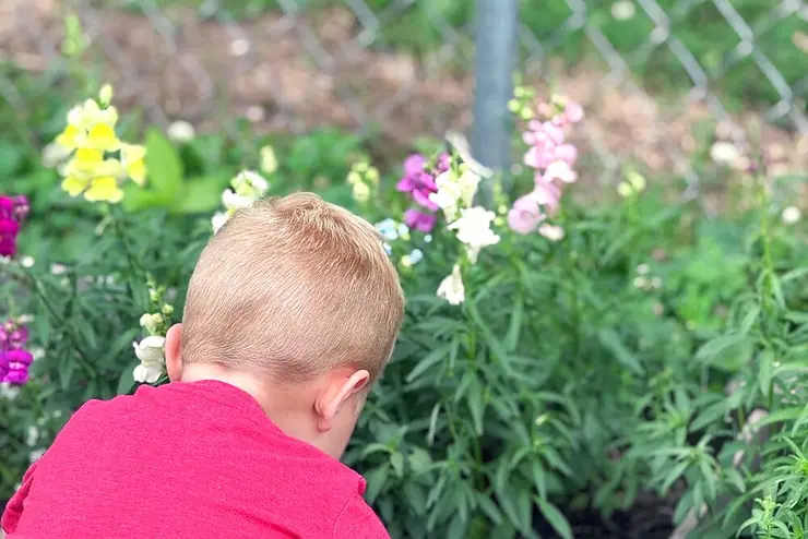 Exploring the Garden
