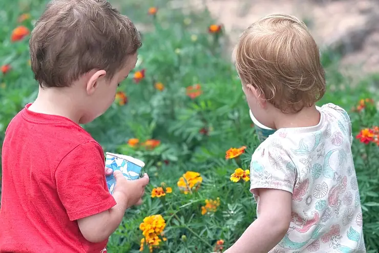 Friends in the Garden
