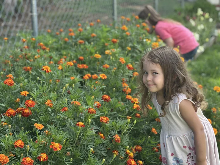 Girl by the marigold beds in the CBCA community garden