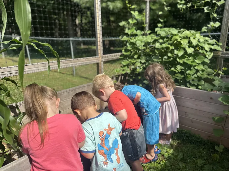 Children exploring the raised garden beds at CBCA