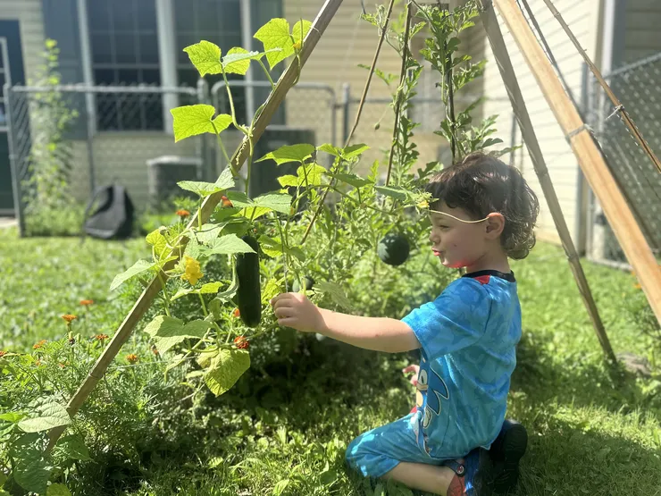 Child examining garden plants at CB Children's Academy