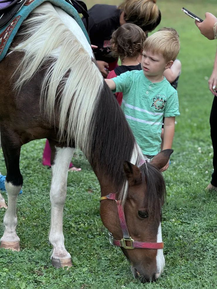 Boy petting a pony's mane at CB Children's Academy